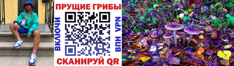 хочу   Братск  Галлюциногенные грибы мухоморы 